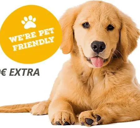 Ag Florida Apartment