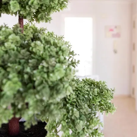 Apartment Ag Florida *