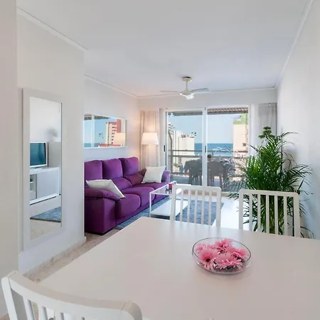 Ag Florida Apartment